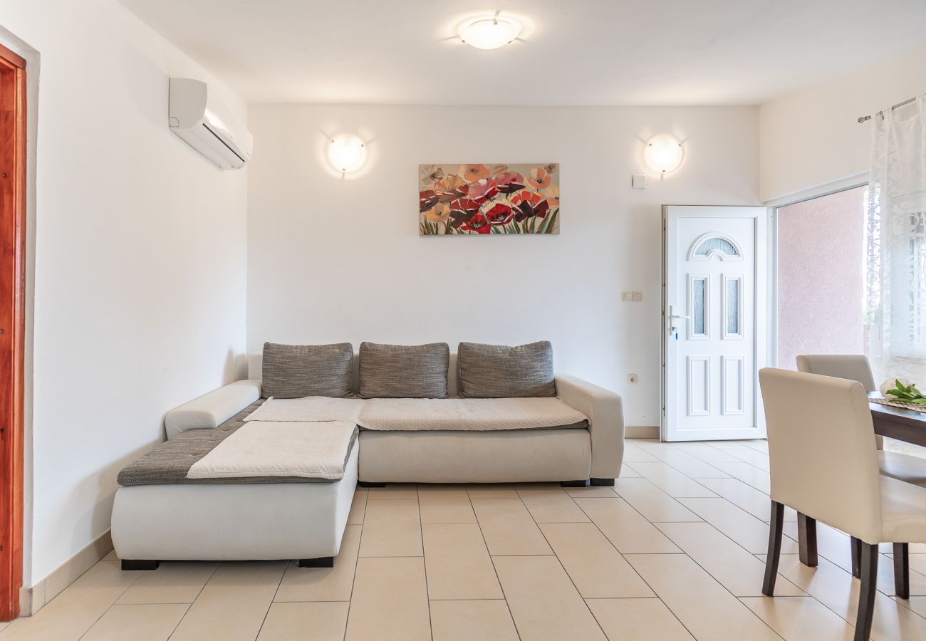 Apartment in Vir - Apartment Bojo No 1 near the Beach