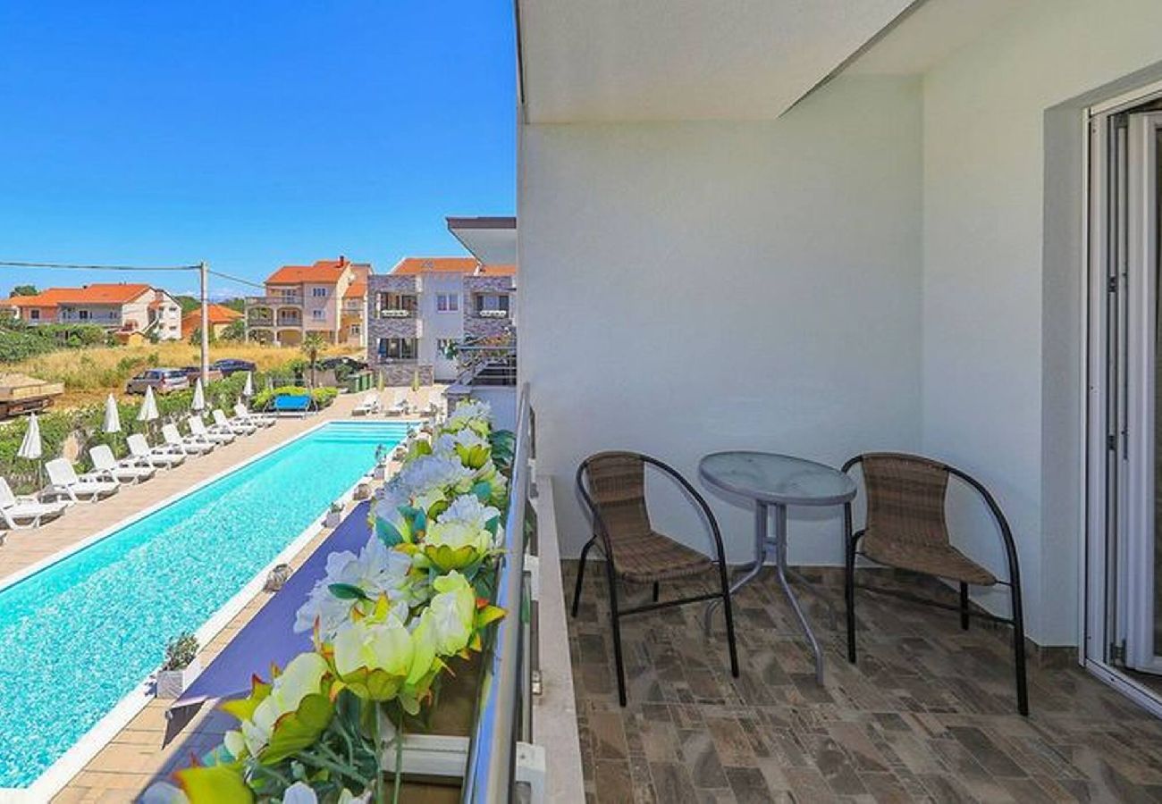 Apartment in Privlaka - Darsofina No 1 