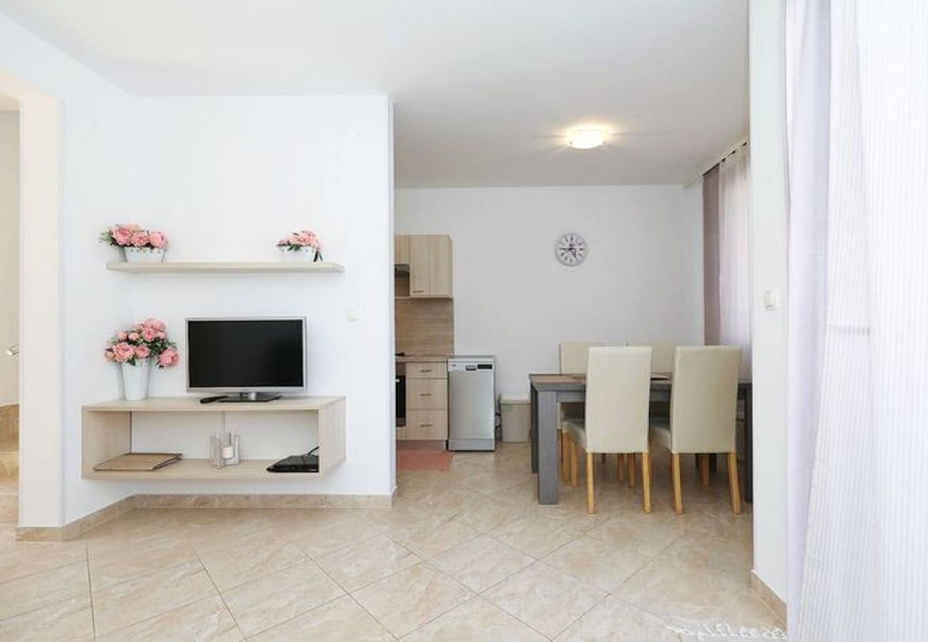 Apartment in Privlaka - Darsofina No 1 