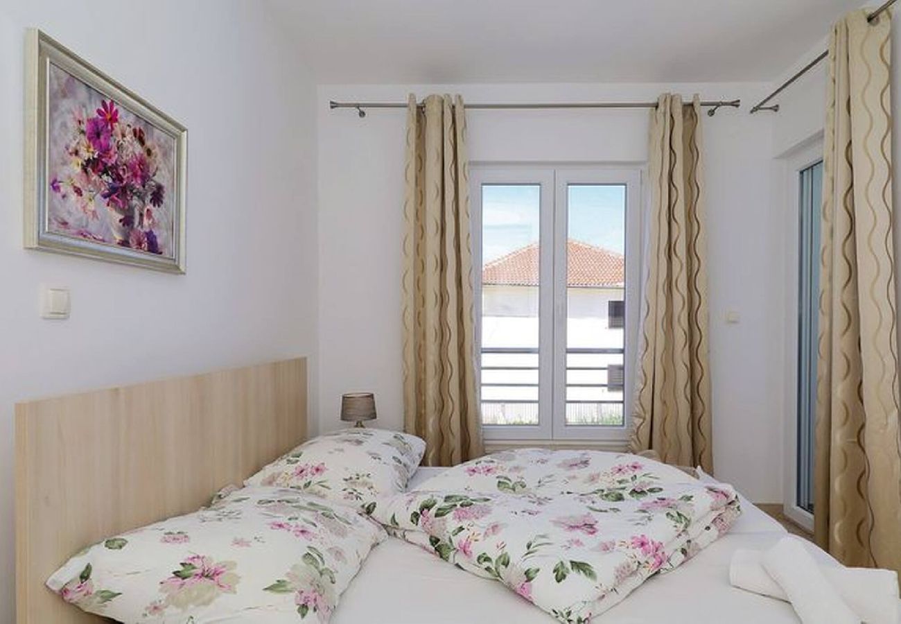 Apartment in Privlaka - Darsofina No 1 