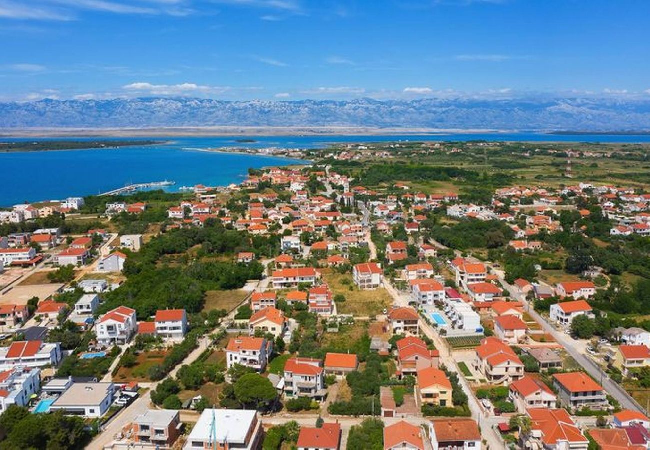 Apartment in Privlaka - Darsofina No 1 
