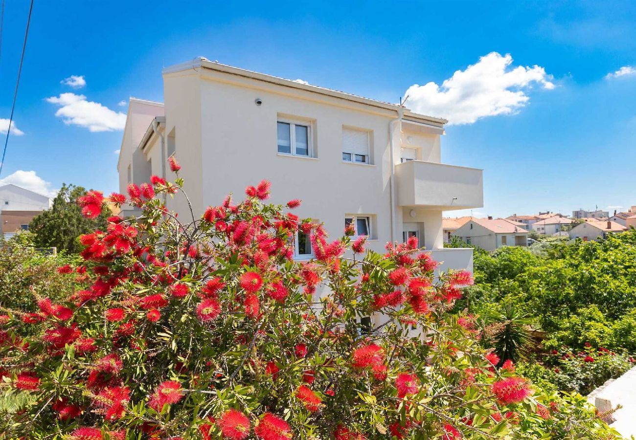 Apartment in Zadar - Klanac No 1