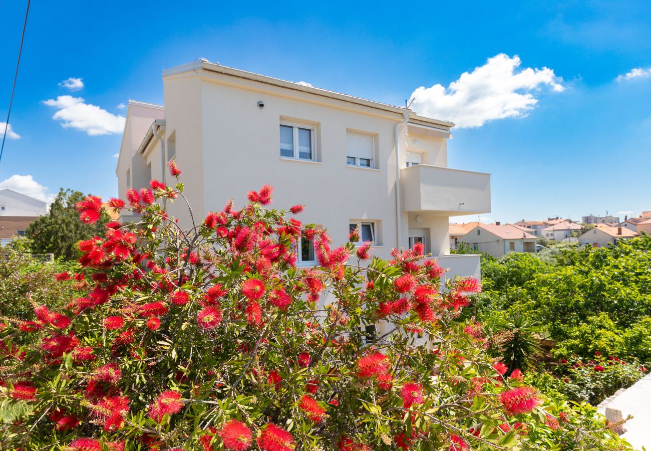 Apartment in Zadar - Klanac No 1