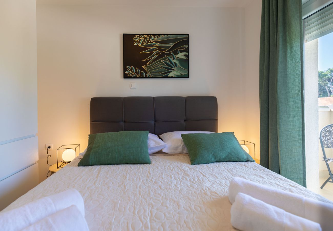 Apartment in Zadar - Klanac No 2