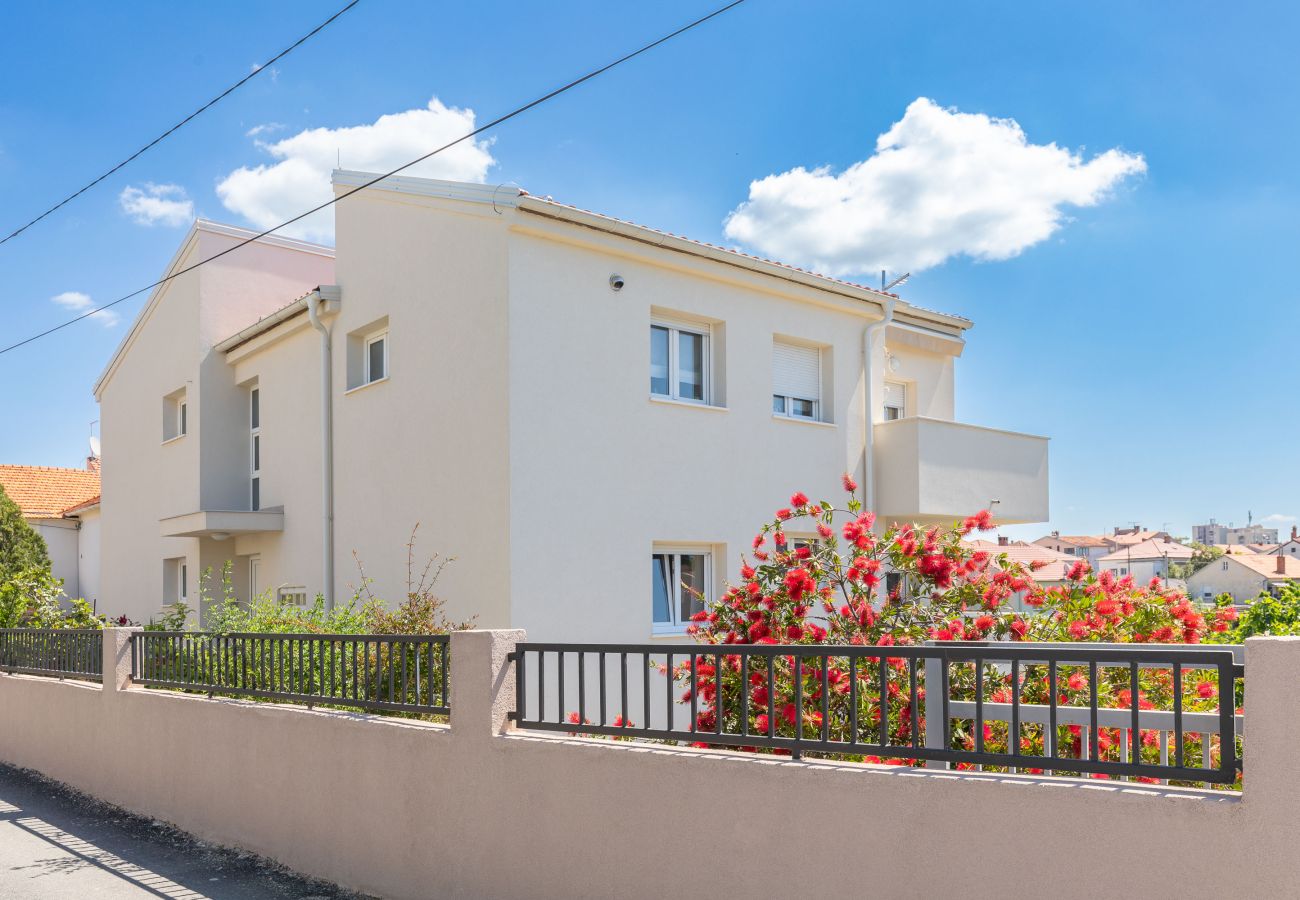 Apartment in Zadar - Klanac No 2