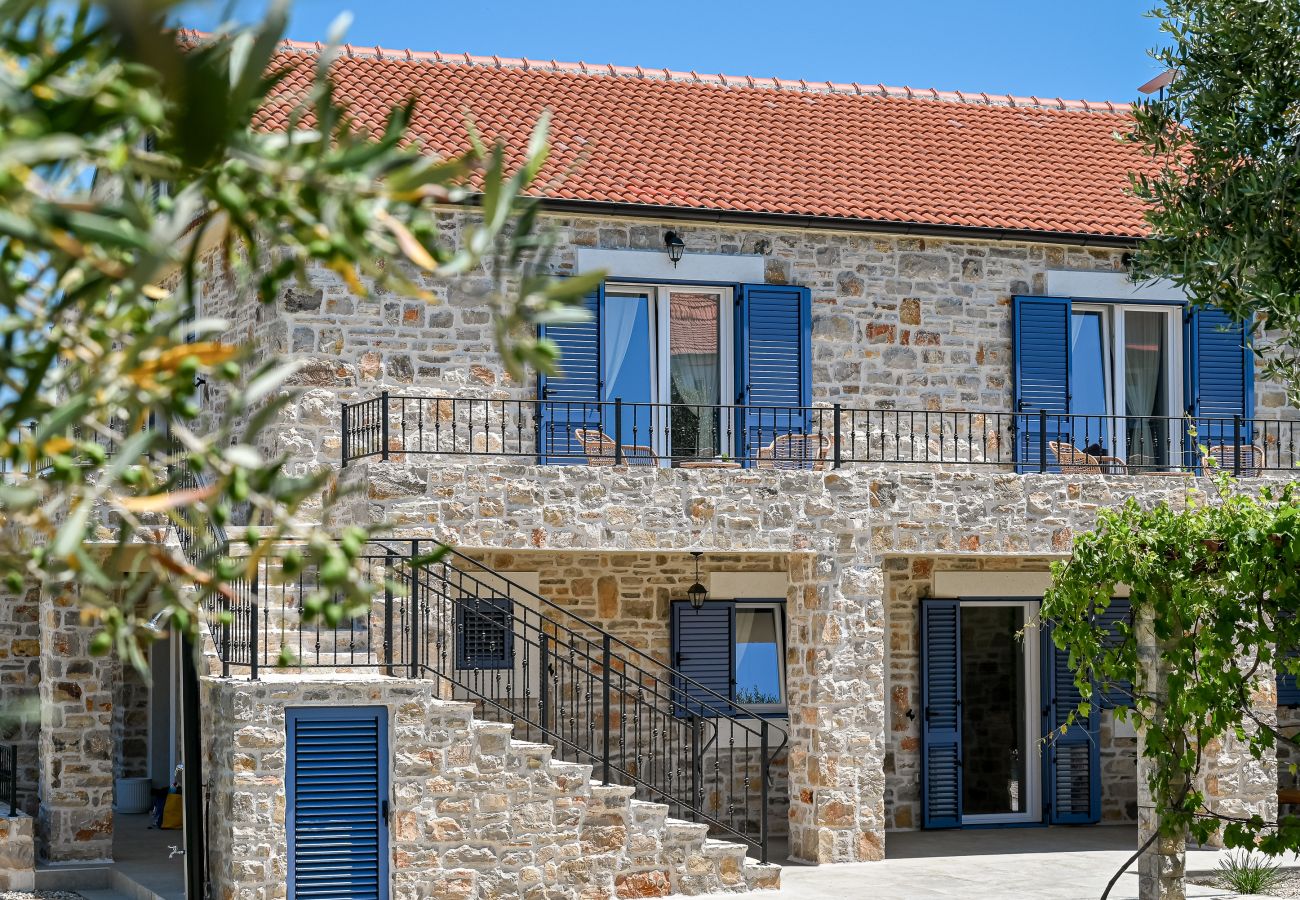 Villa in Dobropoljana - Magna