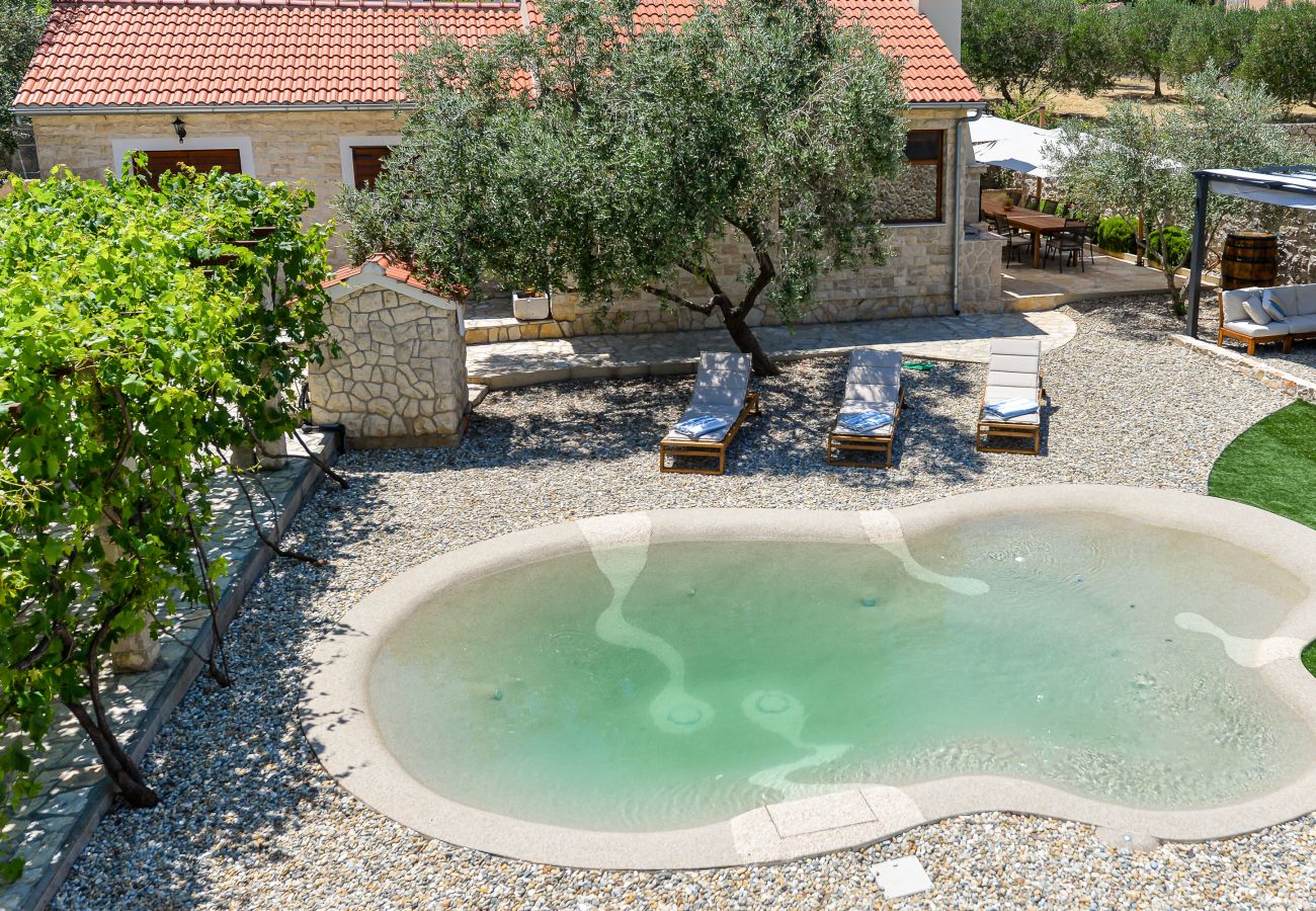 Villa in Dobropoljana - Magna