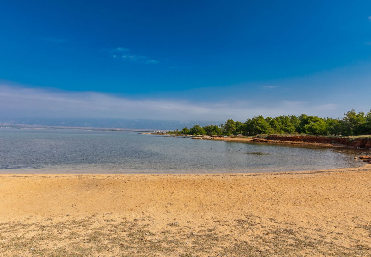 Ferienhaus in Vir - Manuela - vir