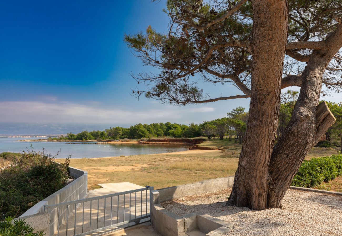 Ferienhaus in Vir - Manuela - vir