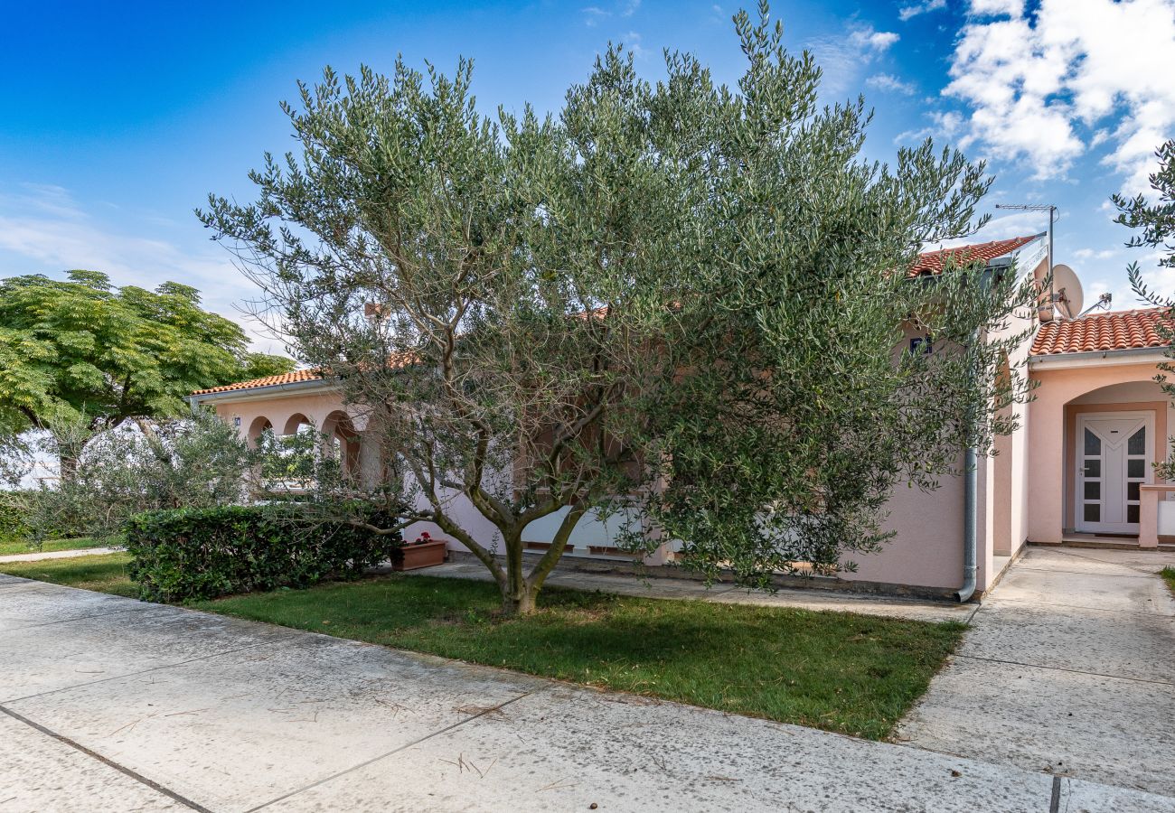 Ferienhaus in Vir - Manuela - vir