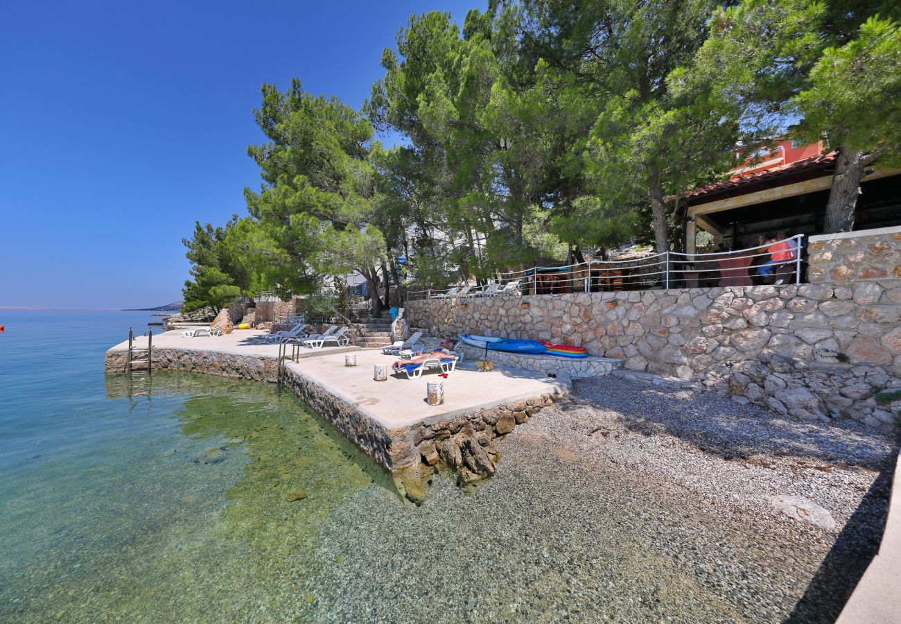 Ferienwohnung in Starigrad - Candela No. 1