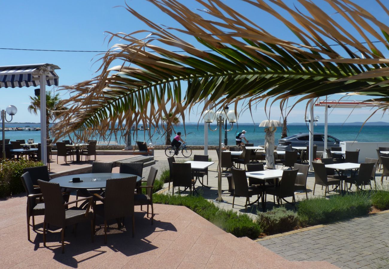 Ferienwohnung in Vir - Ferienwohnung Paradiso No. 3