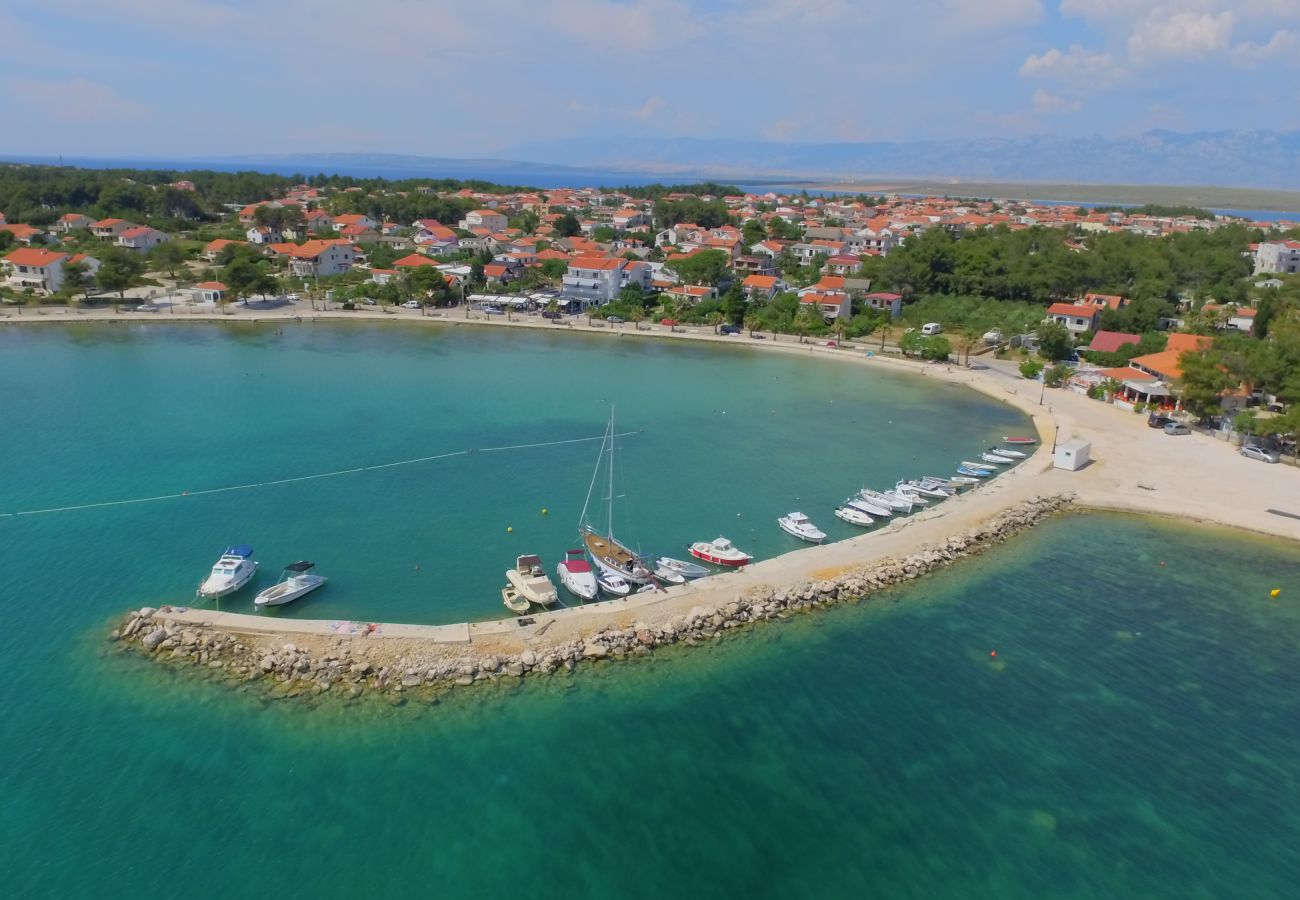Ferienwohnung in Vir - Ferienwohnung Paradiso No. 3