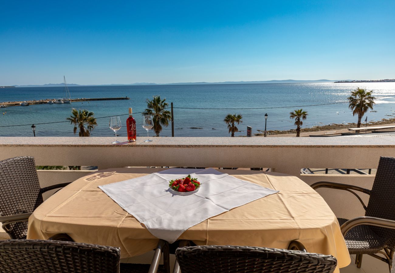 Ferienwohnung in Vir - Ferienwohnung Paradiso No. 3