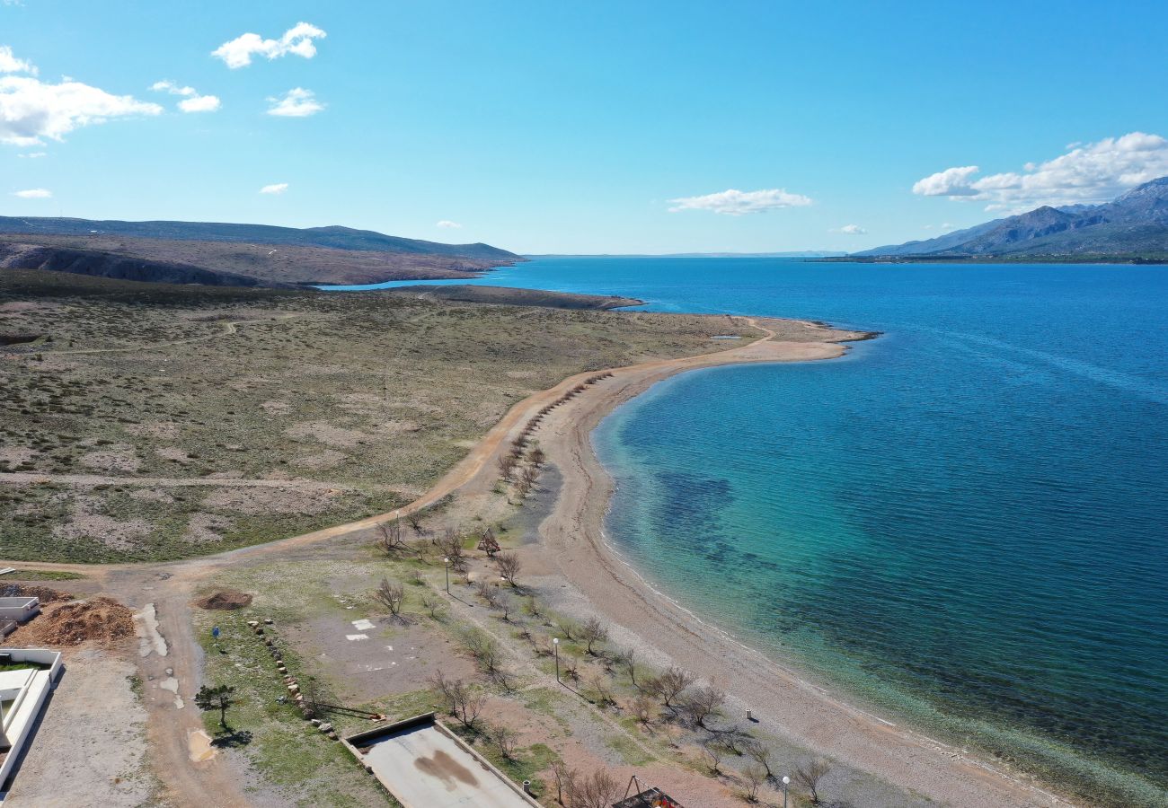 Ferienwohnung in Rovanjska - Marina, No. 2