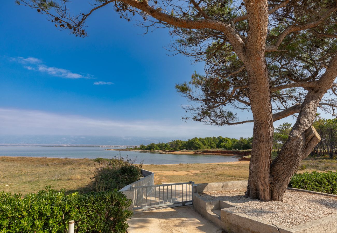 Ferienhaus in Vir - Ferienhaus Ana Maria