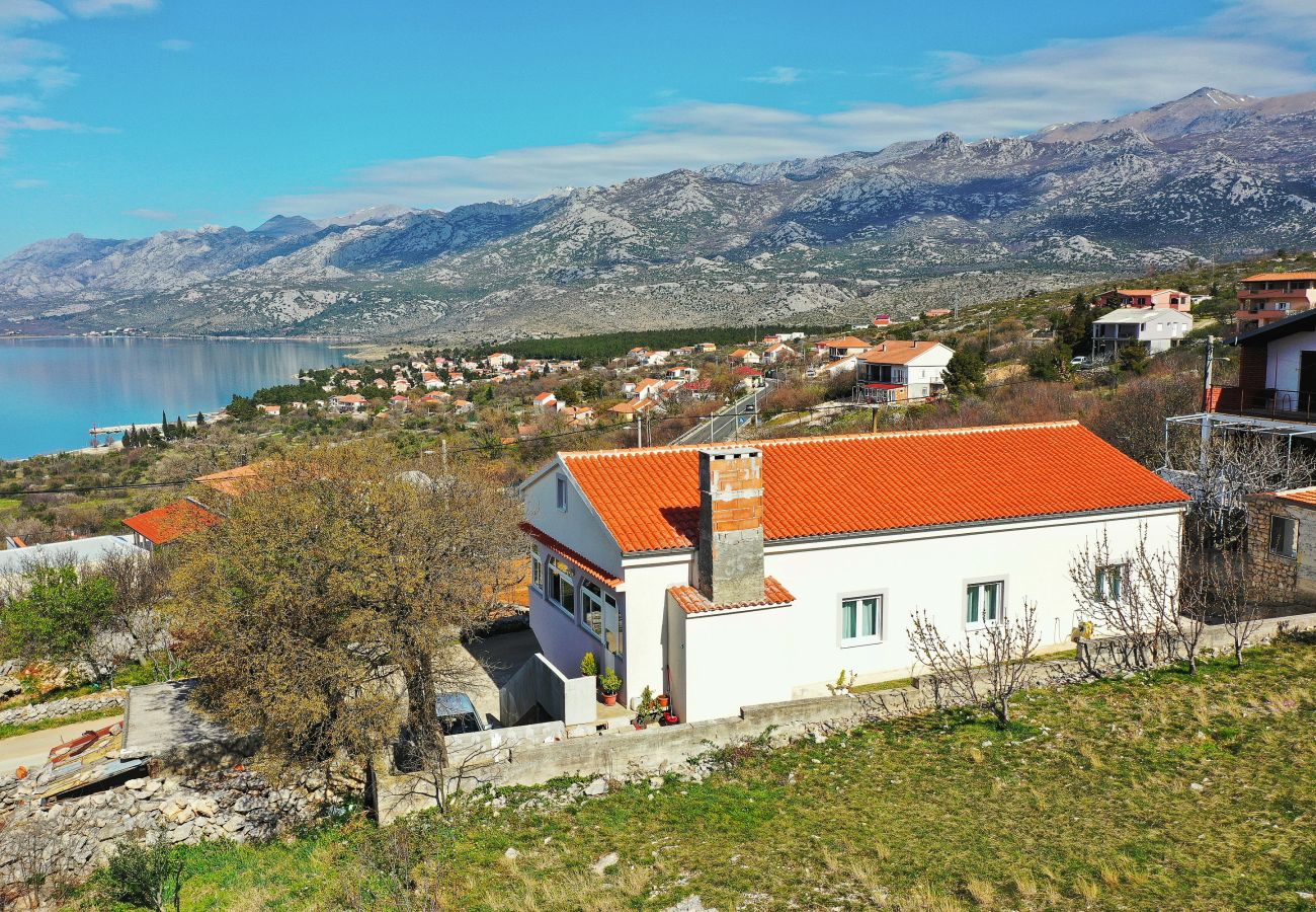 Ferienwohnung in Rovanjska - Pavao - Rovanjska