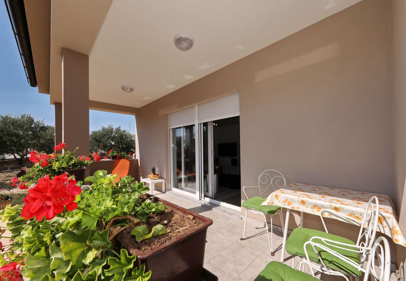 Ferienwohnung in Zadar - Ferienwohnung Jerbic