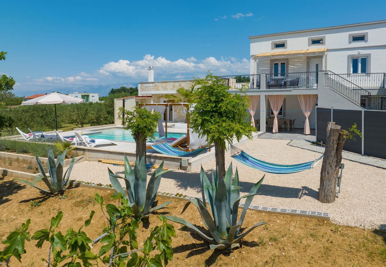 Villa in Vrsi - Villa Angelina