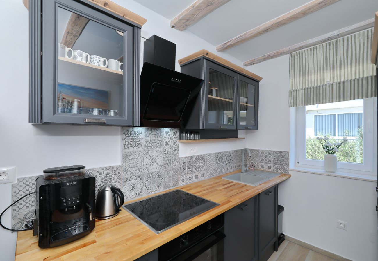 Villa in Vrsi - Villa Angelina