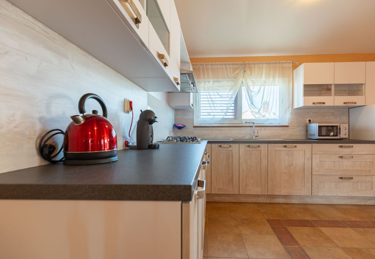 Ferienwohnung in Zadar - Marinko, No. 4, Geräumige Ferienwohnung mit Pool