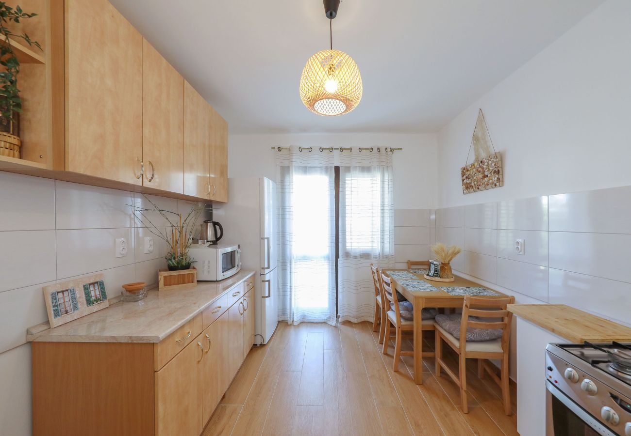 Studio in Starigrad - Hibis No. 1