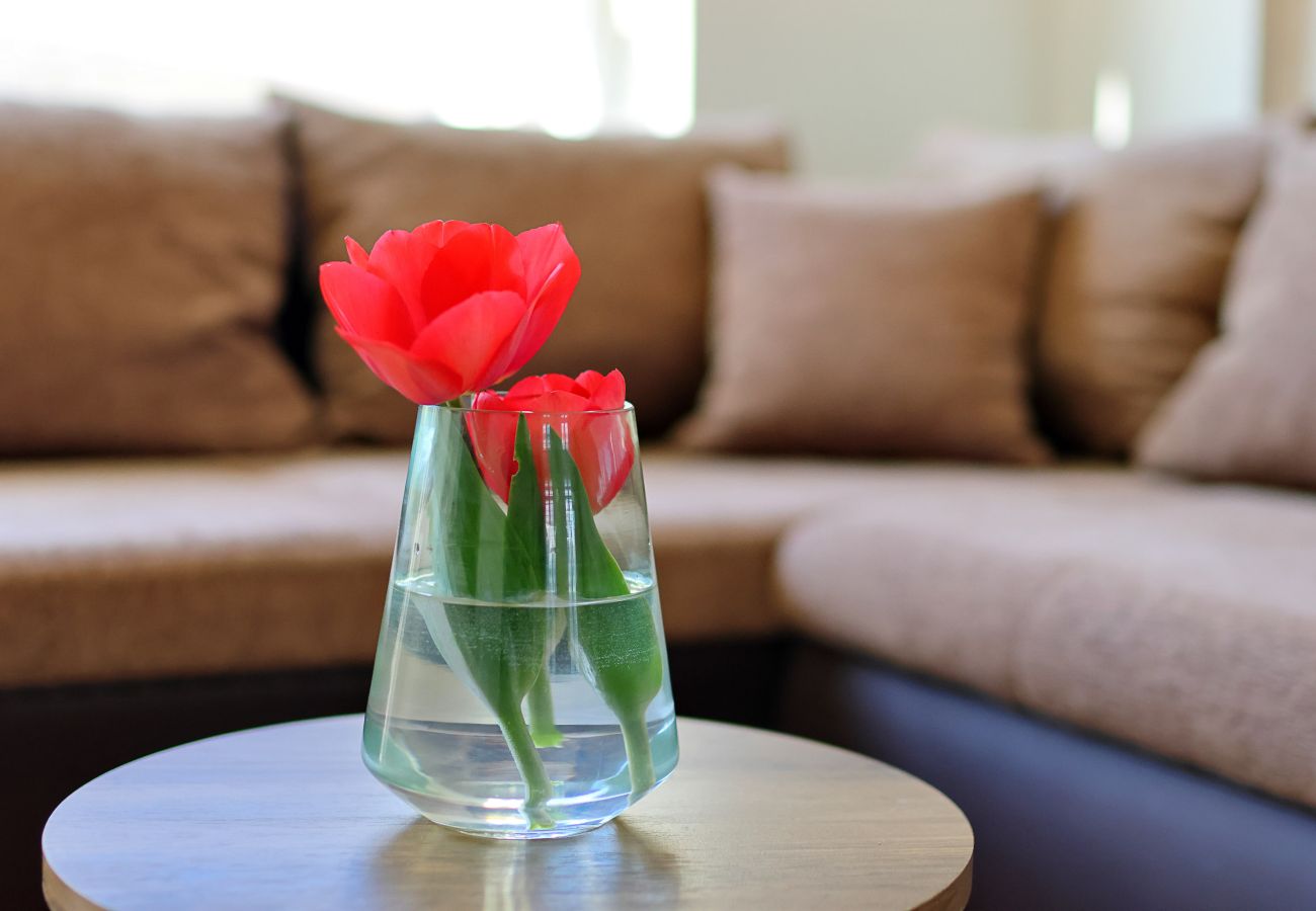 Ferienwohnung in Rovanjska - Temida, Charmante und strandnahe Ferienwohnung