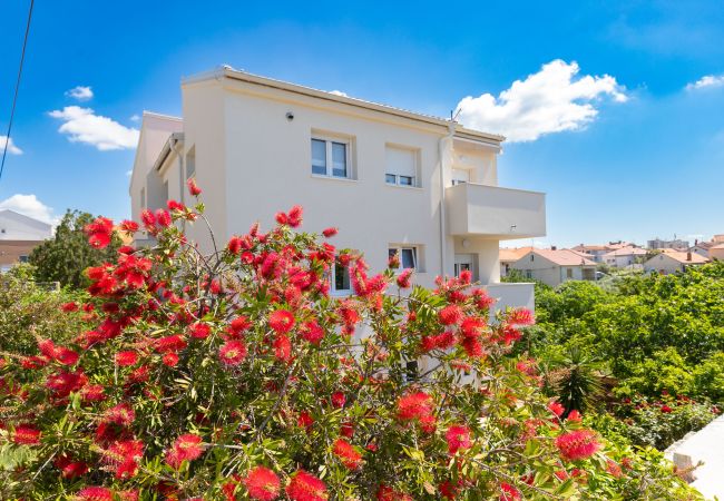 Ferienwohnung in Zadar - Klanac No 2