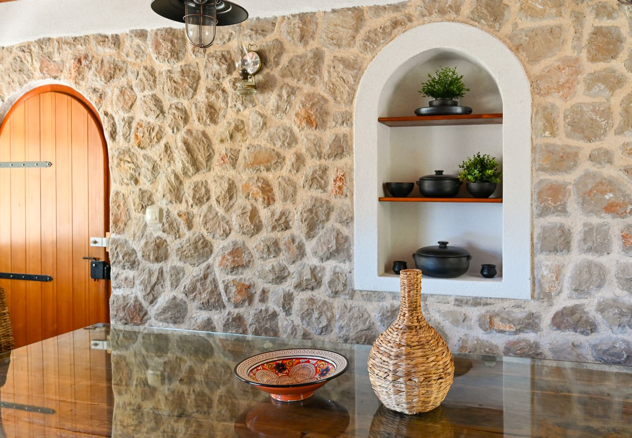 Villa in Dobropoljana - Magna