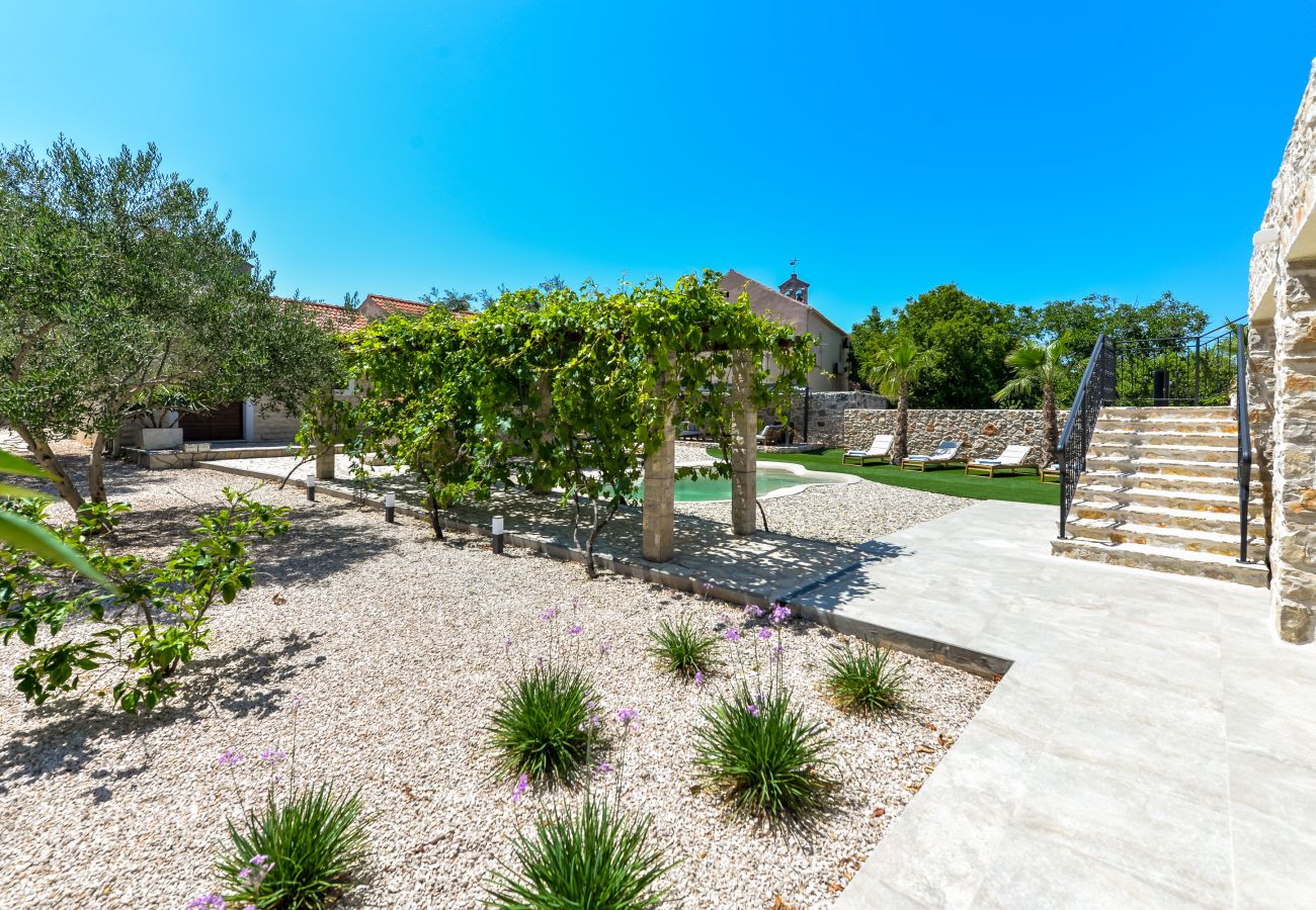 Villa in Dobropoljana - Magna