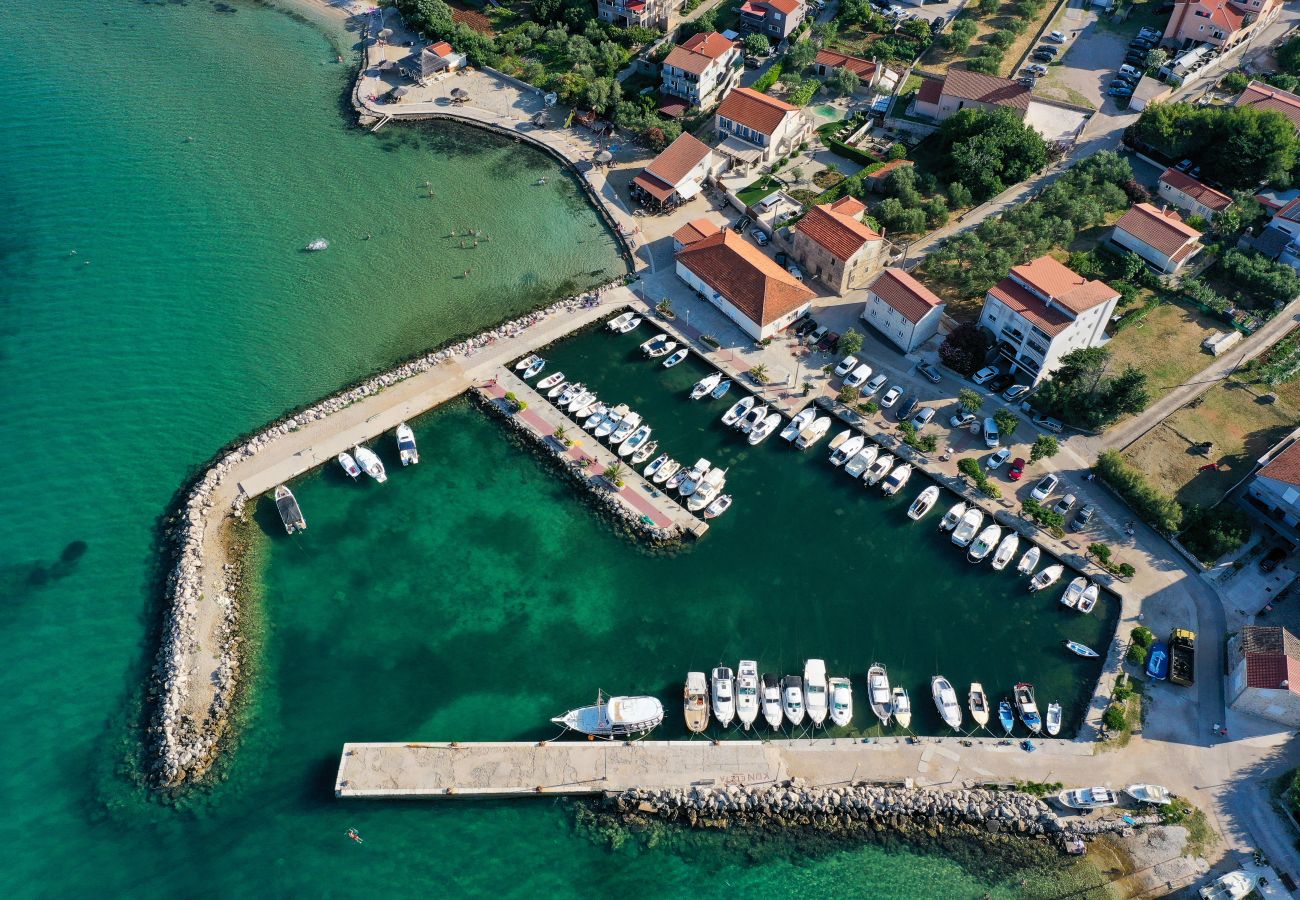 Villa in Dobropoljana - Magna