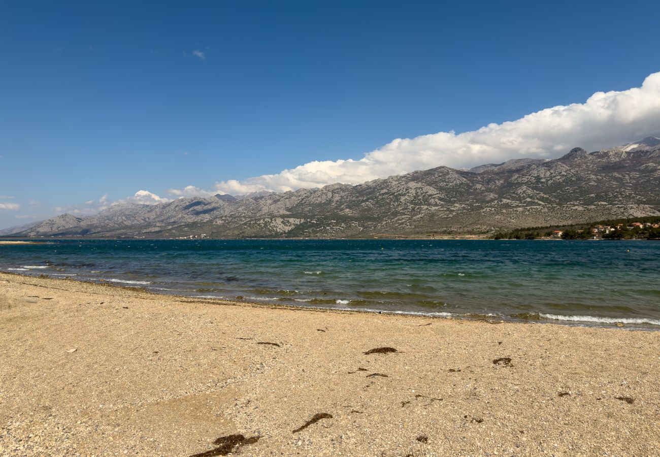 Ferienwohnung in Rovanjska - Bay view mit Pool & Meerblick