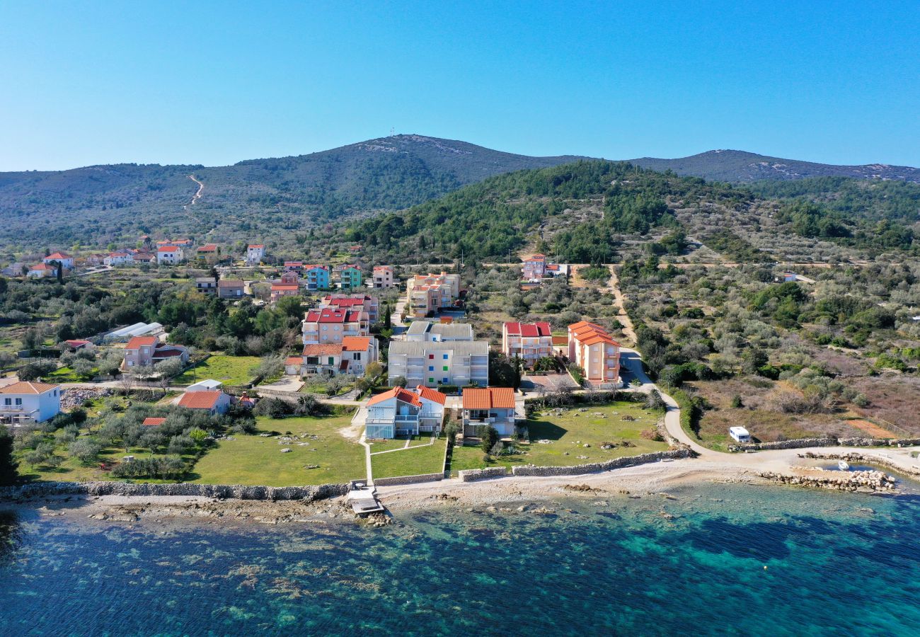 Ferienwohnung in Dobropoljana - Apartment -Grosses FamilienapartmentLuma